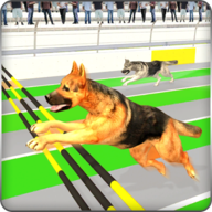 Rival Stars Greyhounds Dog Racing Game