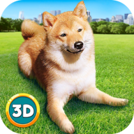 你的狗狗：柴犬