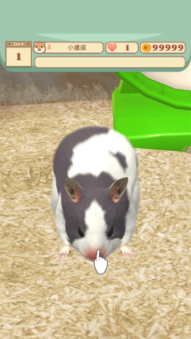 我的仓鼠游戏[图3]