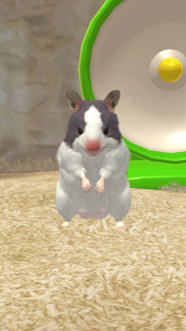 我的仓鼠游戏[图4]