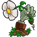 植物大战僵尸e版支线