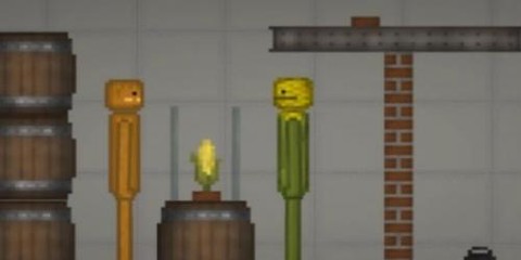 蔬菜游乐场[图3]