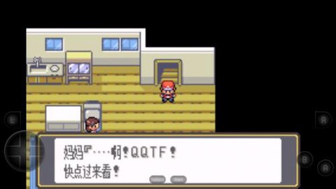 口袋妖怪黑白版[图4]