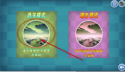 我的鸟随机版手机版[图3]