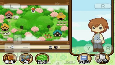 牧场物语双子村中文版[图1]
