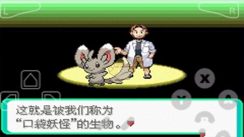 口袋妖怪漆黑的魅影[图1]