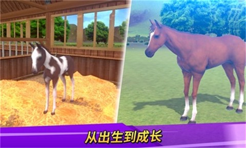 德比生活游戏[图1]