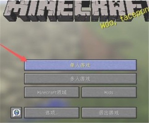 我的世界pc[图7]