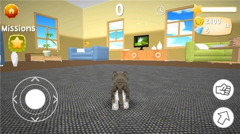 猫咪模拟器[图2]