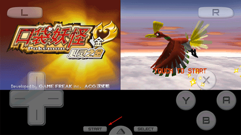 口袋妖怪金心[图3]