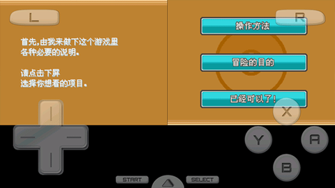 口袋妖怪金心[图4]