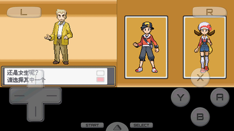 口袋妖怪金心[图5]