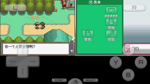 口袋妖怪金心[图8]