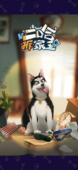 二哈拆家王[图2]