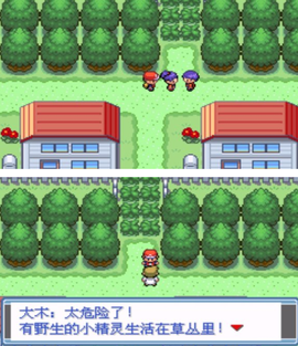 口袋妖怪永恒之焱[图3]