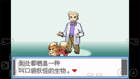 口袋妖怪永恒之焱[图9]