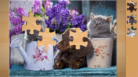 魔法拼图2020[图4]