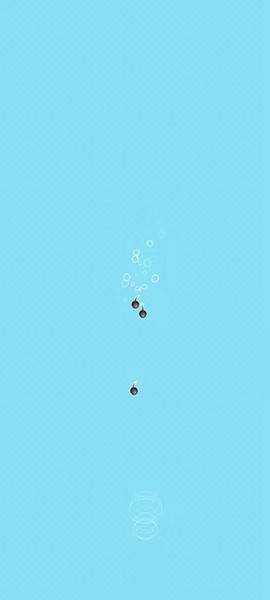 神龙进化版[图2]