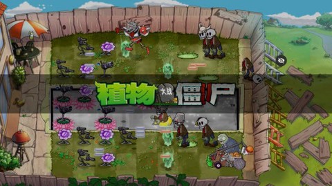 植物大战僵尸魔幻版[图2]