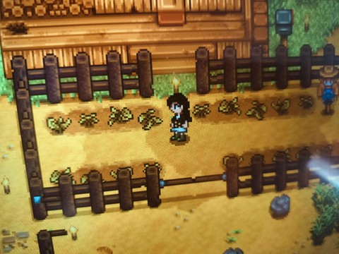 星露谷物语如何收割