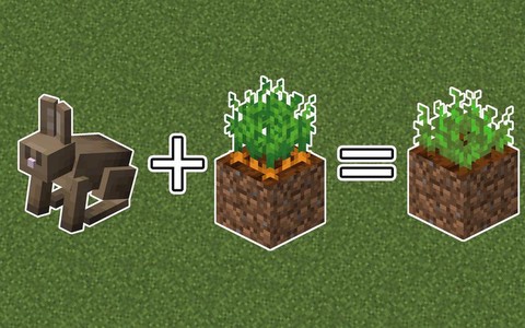 我的世界能种什么东西