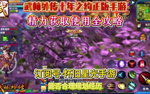 武林外传怎么得到精力[图2]